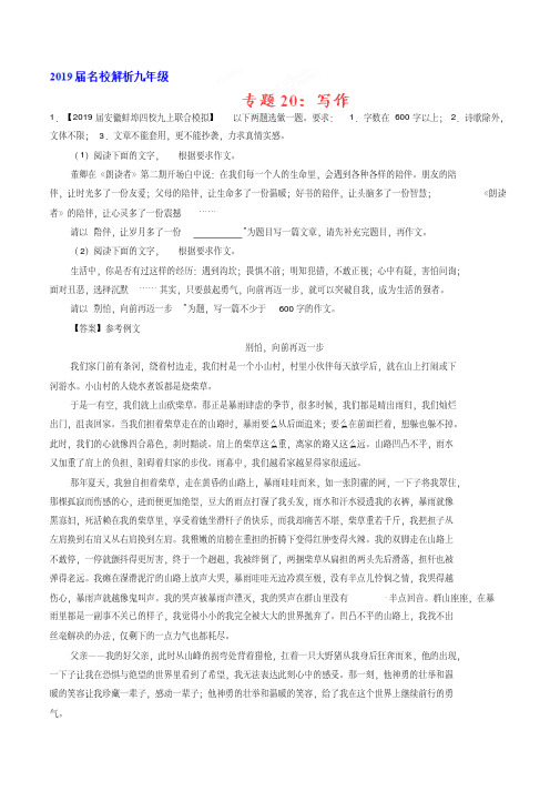 专题20作文(第01期)-2019届九年级语文精品解析卷汇编(解析版)