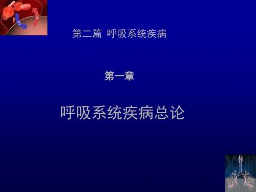 呼吸总论ppt课件