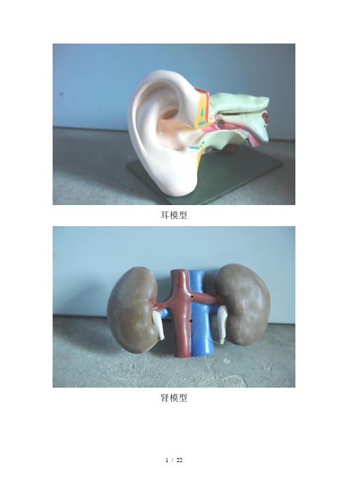 健康教育教具图片