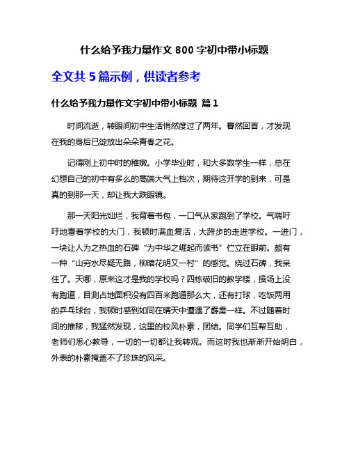 什么给予我力量作文800字初中带小标题