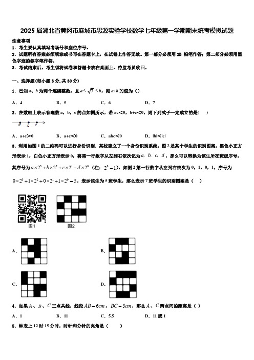 2025届湖北省黄冈市麻城市思源实验学校数学七年级第一学期期末统考模拟试题含解析