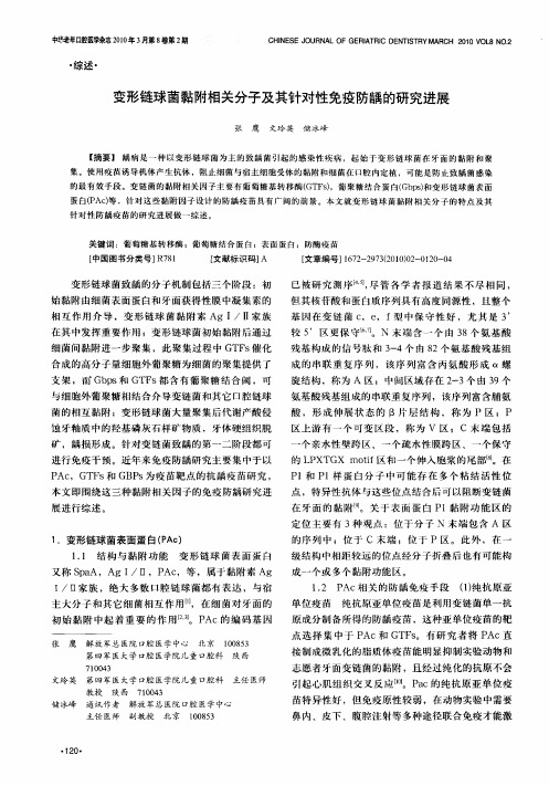 变形链球菌黏附相关分子及其针对性免疫防龋的研究进展