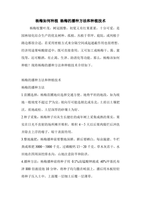 杨梅如何种植 杨梅的播种方法和种植技术.doc