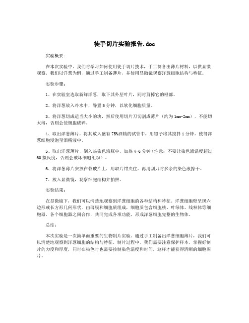 徒手切片实验报告.doc