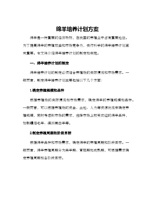 绵羊培养计划方案