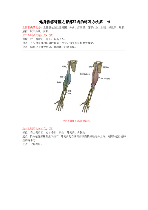 健身教练课程之臂部肌肉的练习方法第二节