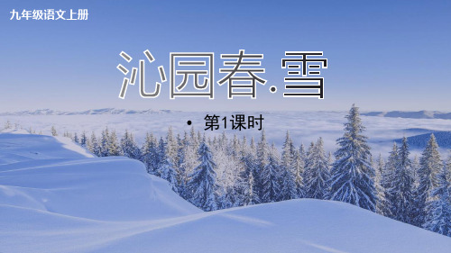 《沁园春 雪》ppt教学课件