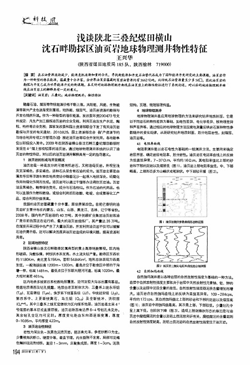 浅谈陕北三叠纪煤田横山沈石畔勘探区油页岩地球物理测井物性特征