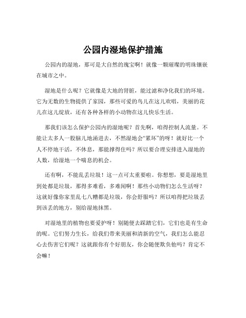 公园内湿地保护措施