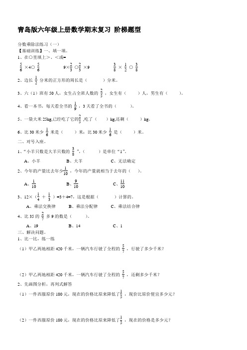 青岛版六年级上册数学期末复习题(阶梯题型)