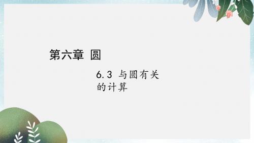 中考数学复习第六章圆6.3与圆有关的计算课件