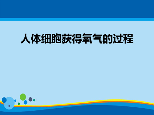 《人体细胞获得氧气的过程》PPT课件【精选推荐课件】