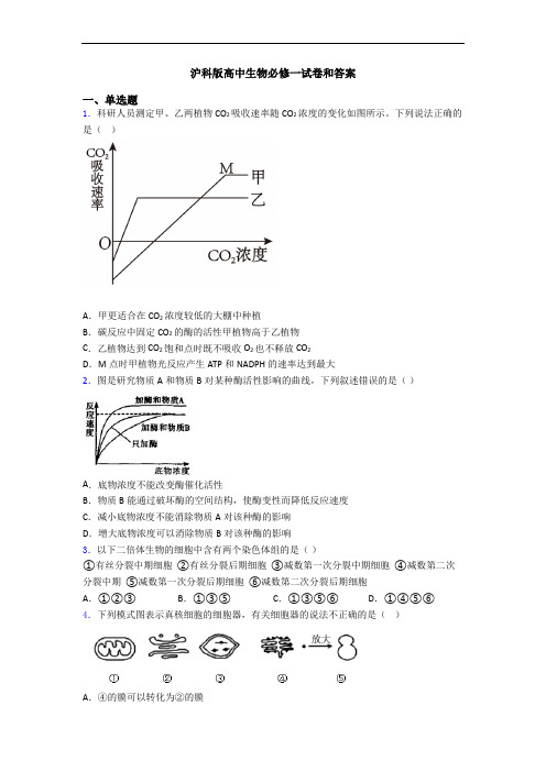 沪科版高中生物必修一试卷和答案