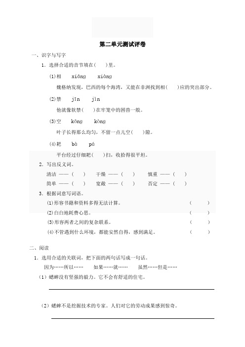 新课标人教版小学四年级语文上册 第二单元测评卷(带答案)