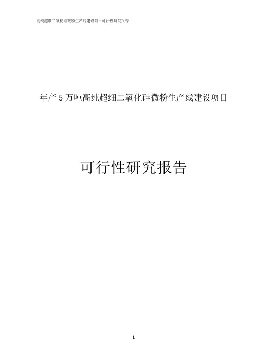 高纯度超细纳米二氧化硅微粉建设项目可行性研究报告