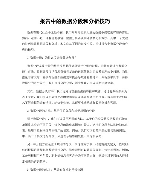 报告中的数据分段和分析技巧