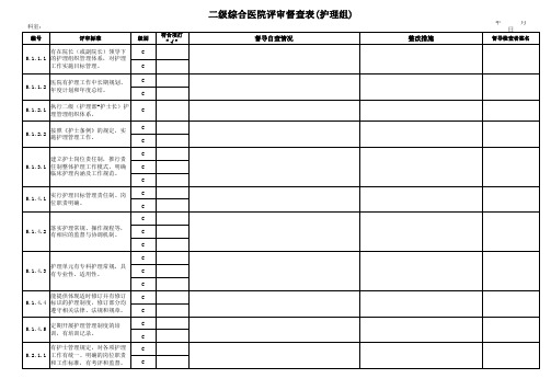 二级综合医院评审督导检查表.