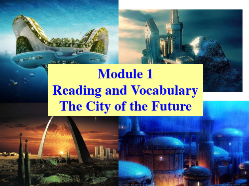 外研 高中英语必修4Module1Reading and Vocabulary  (共37张PPT)