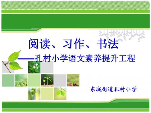 孔村语文素养
