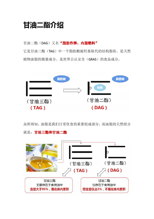 甘油二酯介绍及功能