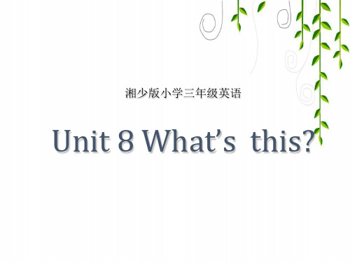 湘少版三年级英语上册Unit 8 What's this？课件3