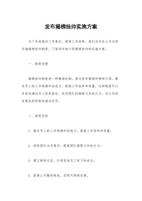 发布揭榜挂帅实施方案