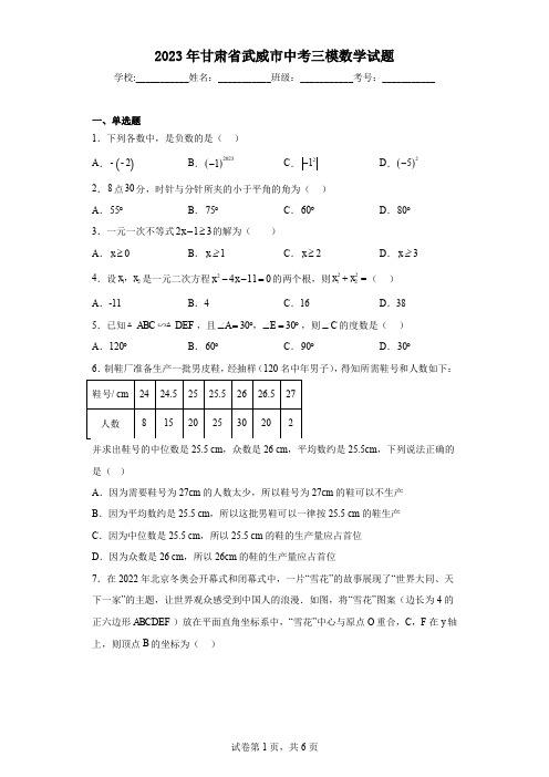 2023年甘肃省武威市中考三模数学试题