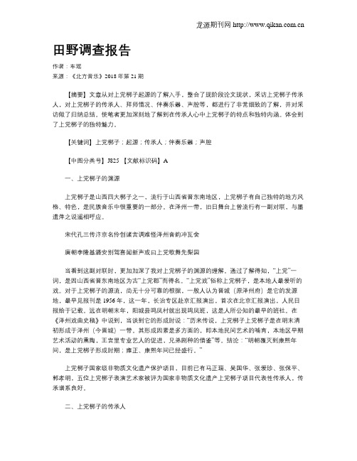 田野调查报告