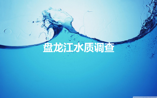 盘龙江水质调查