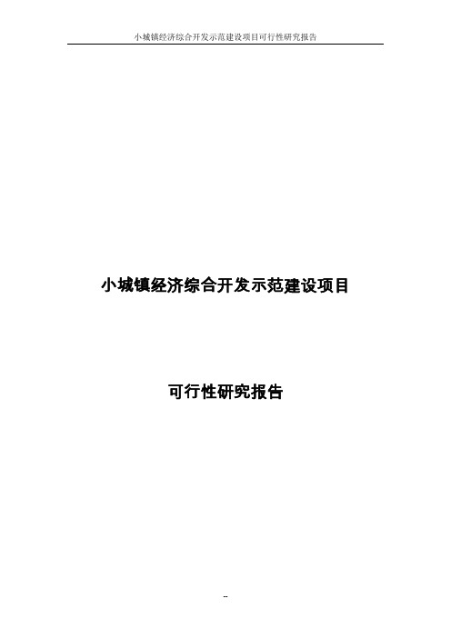 某小城镇经济综合开发示范建设项目可行性研究报告