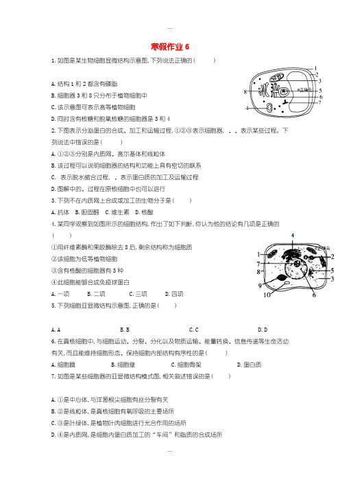 2020届高一生物寒假作业6实验班含答案