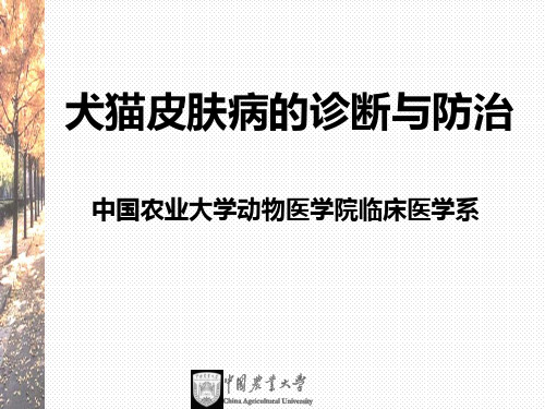 第三章 犬猫皮肤病的诊断与防治  兽医外科学 教学课件