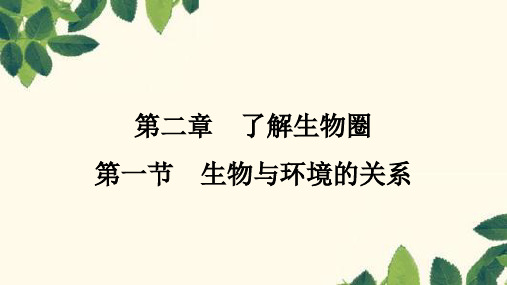 人教版生物七年级上册 生物和生物圈第二章 了解生物圈第一节 生物与环境的关系 课件(共39张PPT)