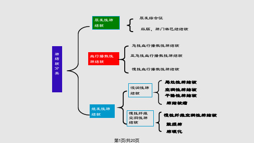 肺结核诊断思路PPT课件