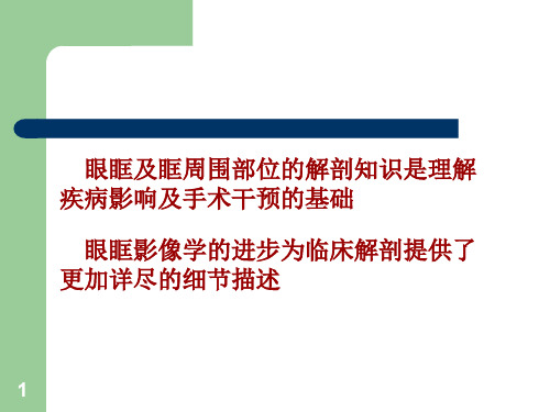 眼眶骨性解剖及临床ppt课件