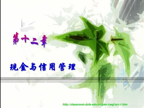 12-现金和信用管理 共96页