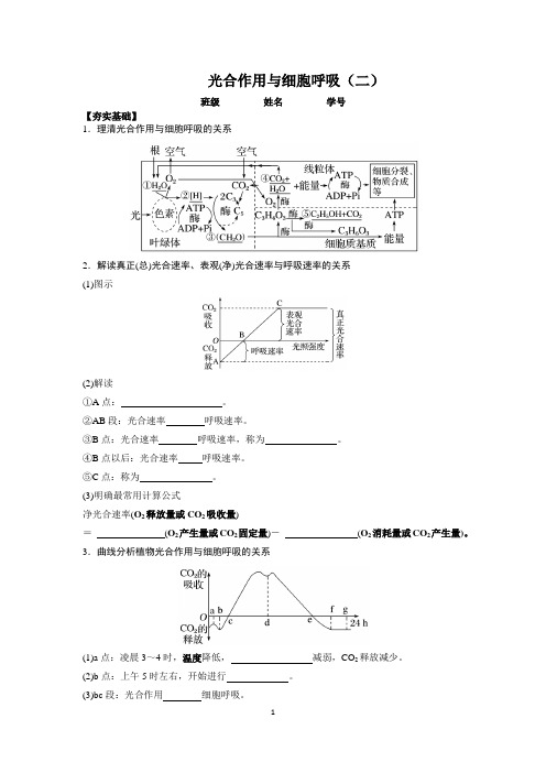 2018届高三第二学期生物第二轮复习《光合作用与细胞呼吸(二)》学案含答案