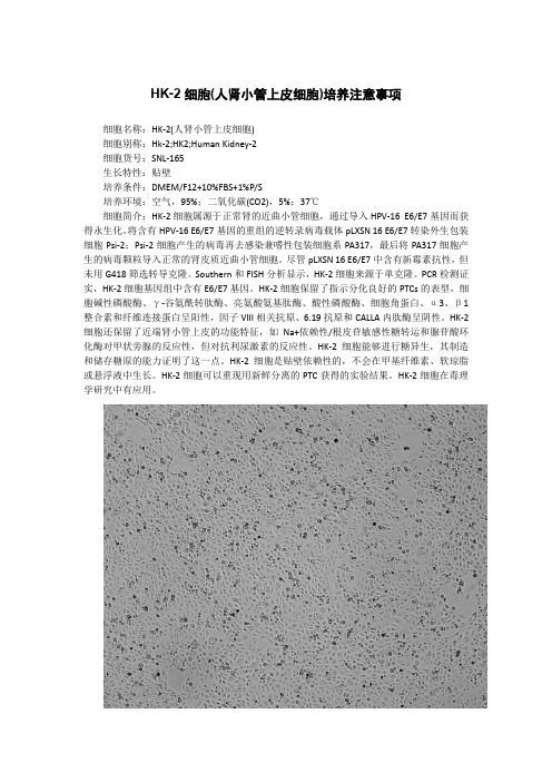 HK-2细胞(人肾小管上皮细胞)培养注意事项