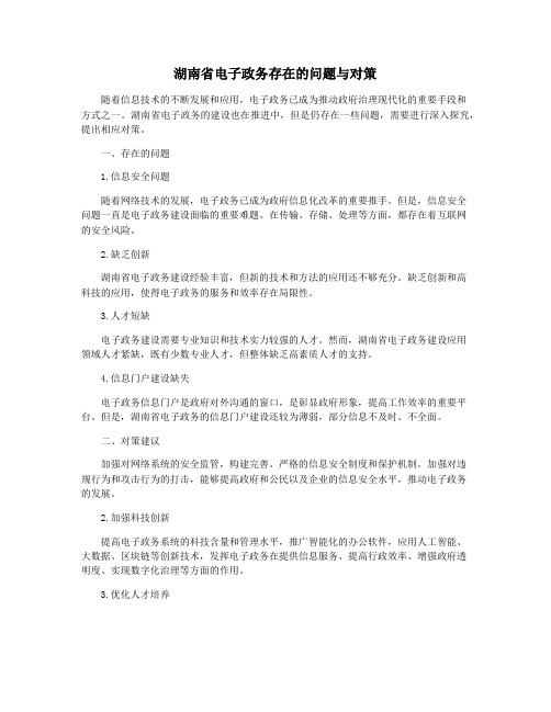 湖南省电子政务存在的问题与对策