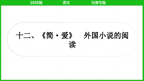 2025年中考语文总复习第三部分名著阅读《简爱》外国小说的阅读