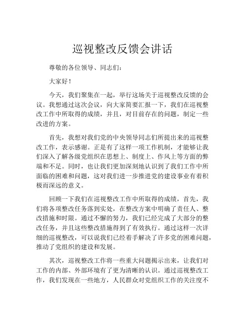 巡视整改反馈会讲话