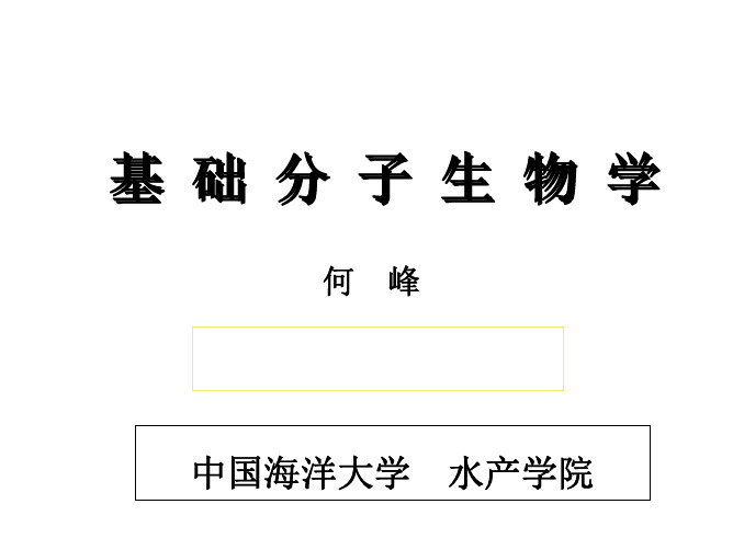 基础分子生物学 基础分子生物学总论