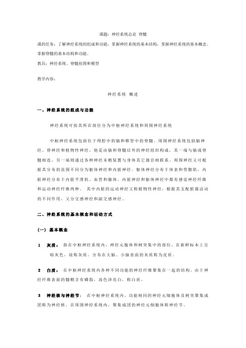 1-神经系统总论 脊髓