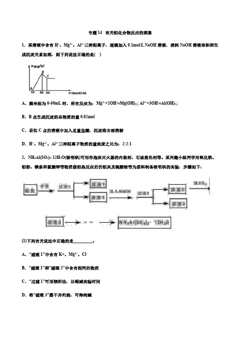 专题14 有关铝化合物反应的图象 2021届高考化学一轮复习