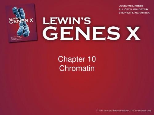 Gene X ppt(Gene10 基因十)--Chapter10