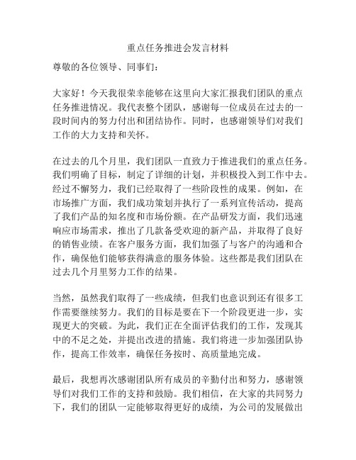 重点任务推进会发言材料