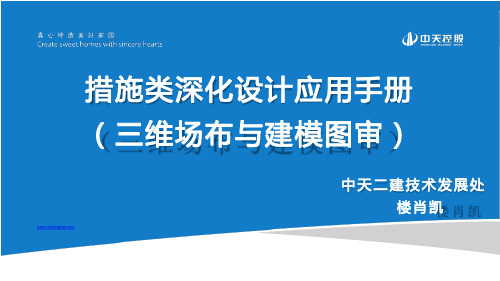 【深化手册】中天三维场布与建模图审措施类深化设计手册,64页PPT