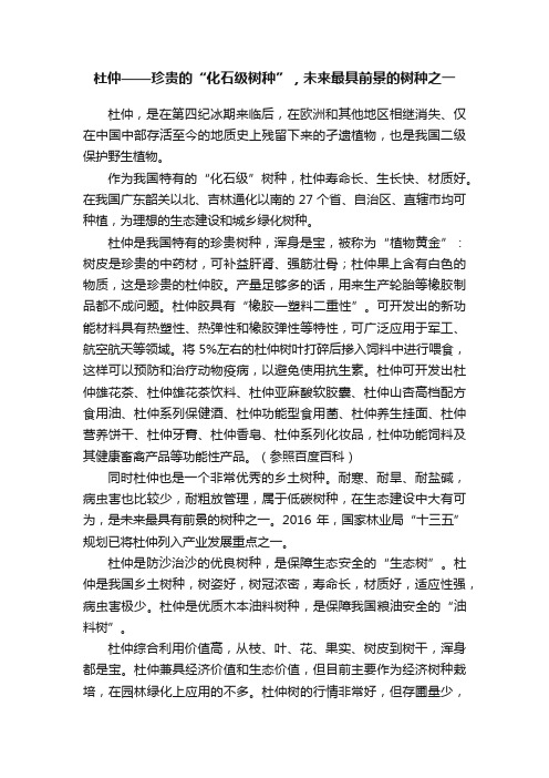 杜仲——珍贵的“化石级树种”，未来最具前景的树种之一