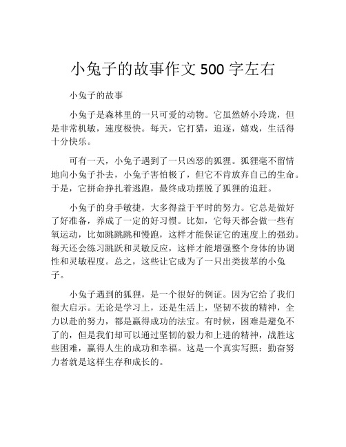 小兔子的故事作文500字左右