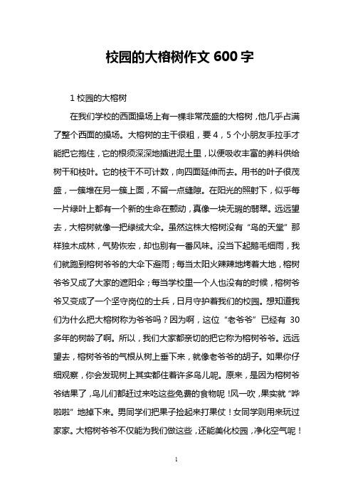 校园的大榕树作文600字